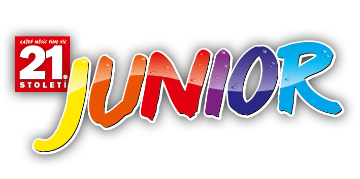 LogoJunior new